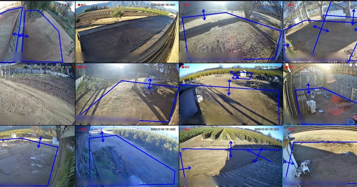 Doce cámaras de día en un predio agrícola, con zonas de detección por IA