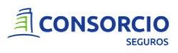 Consorcio Seguros